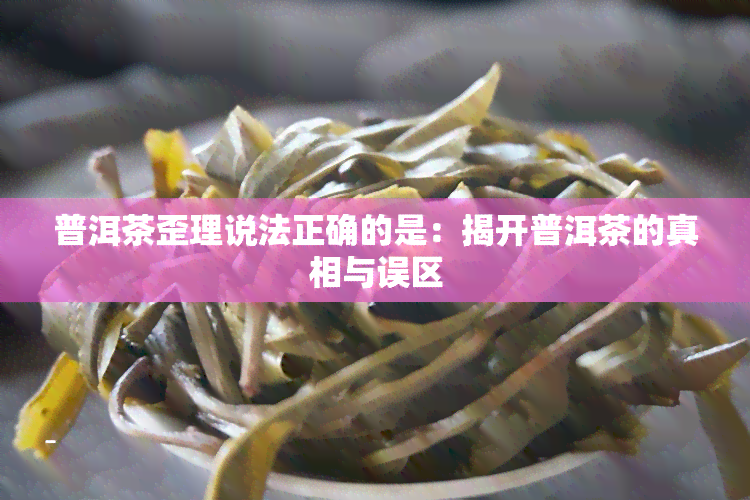 普洱茶歪理说法正确的是：揭开普洱茶的真相与误区