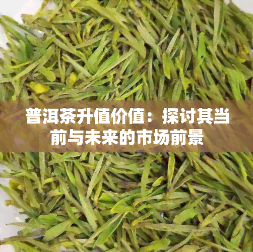 普洱茶升值价值：探讨其当前与未来的市场前景