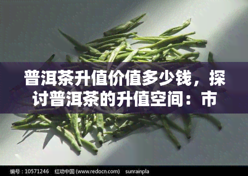 普洱茶升值价值多少钱，探讨普洱茶的升值空间：市场价格增长了多少？