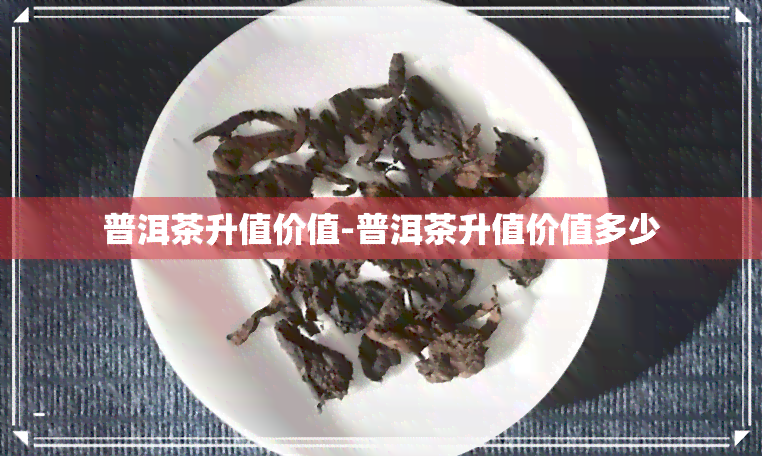 普洱茶升值价值-普洱茶升值价值多少