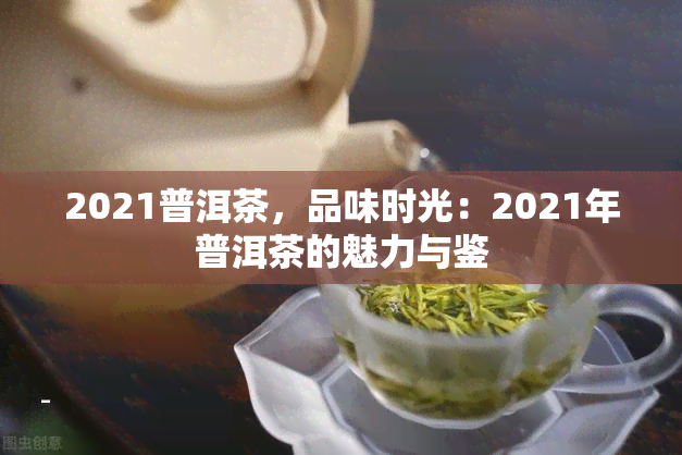 2021普洱茶，品味时光：2021年普洱茶的魅力与鉴