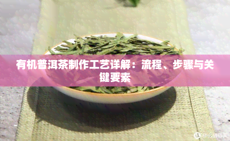 有机普洱茶制作工艺详解：流程、步骤与关键要素