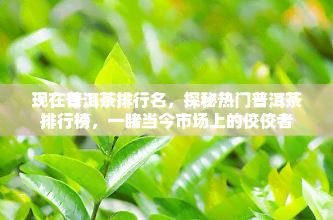 现在普洱茶排行名，探秘热门普洱茶排行榜，一当今市场上的佼佼者