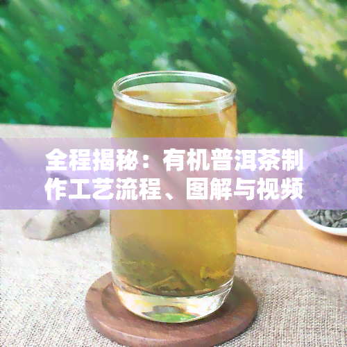 全程揭秘：有机普洱茶制作工艺流程、图解与视频教程