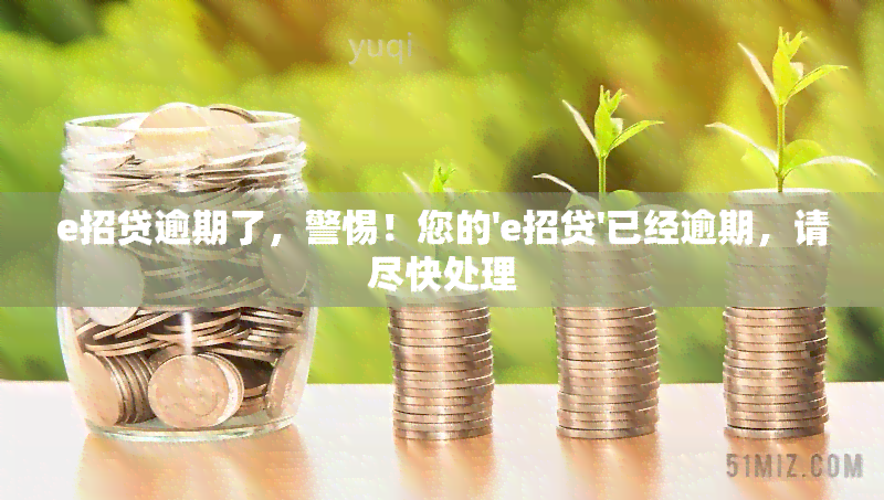 e招贷逾期了，警惕！您的'e招贷'已经逾期，请尽快处理