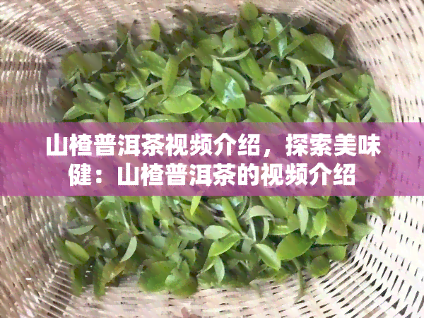 山楂普洱茶视频介绍，探索美味健：山楂普洱茶的视频介绍