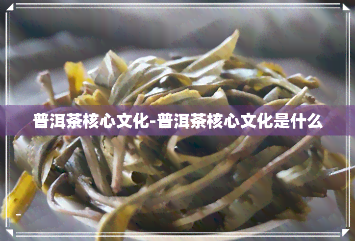 普洱茶核心文化-普洱茶核心文化是什么