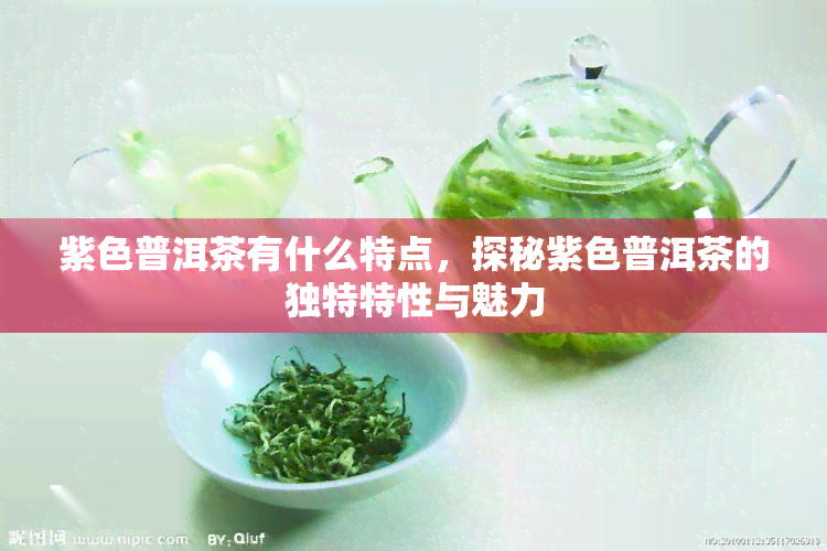 紫色普洱茶有什么特点，探秘紫色普洱茶的独特特性与魅力