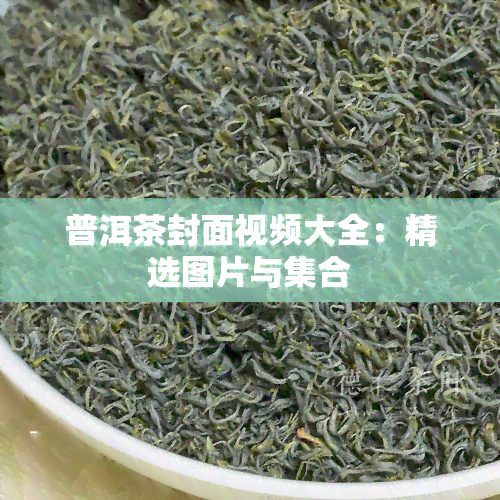 普洱茶封面视频大全：精选图片与 *** 