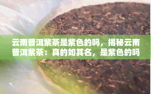 云南普洱紫茶是紫色的吗，揭秘云南普洱紫茶：真的如其名，是紫色的吗？