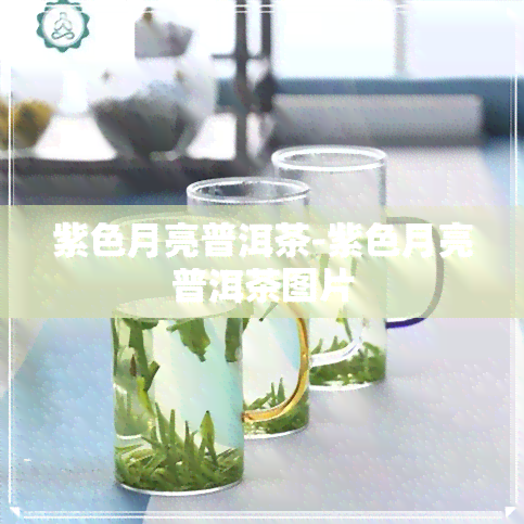 紫色月亮普洱茶-紫色月亮普洱茶图片