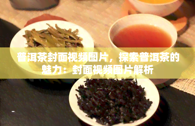 普洱茶封面视频图片，探索普洱茶的魅力：封面视频图片解析