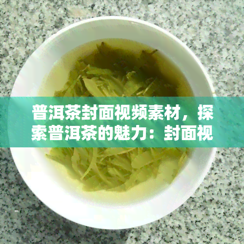 普洱茶封面视频素材，探索普洱茶的魅力：封面视频素材一览