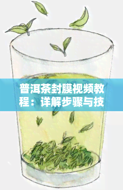 普洱茶封膜视频教程：详解步骤与技巧