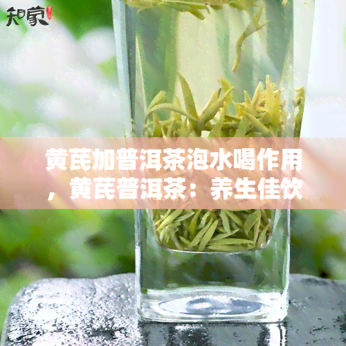 黄芪加普洱茶泡水喝作用，黄芪普洱茶：养生佳饮，功效解析