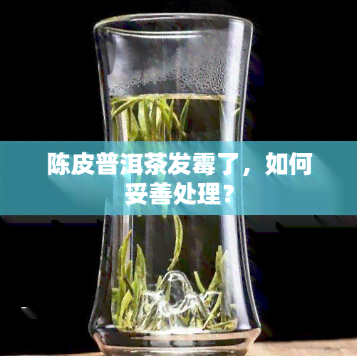 陈皮普洱茶发霉了，如何妥善处理？