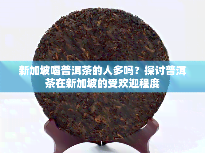 新加坡喝普洱茶的人多吗？探讨普洱茶在新加坡的受欢迎程度