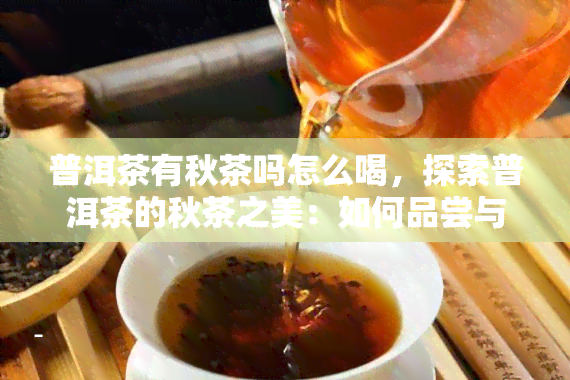 普洱茶有秋茶吗怎么喝，探索普洱茶的秋茶之美：如何品尝与享受？