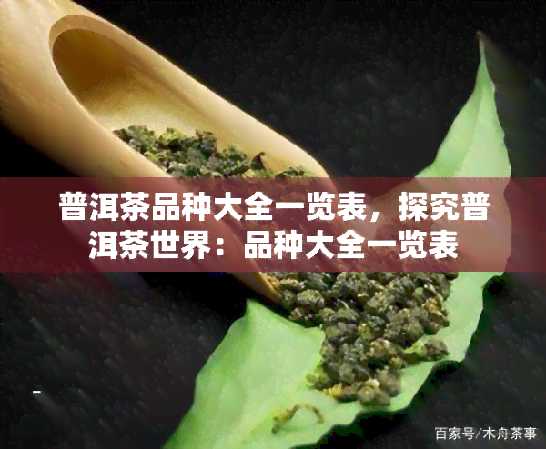 普洱茶品种大全一览表，探究普洱茶世界：品种大全一览表