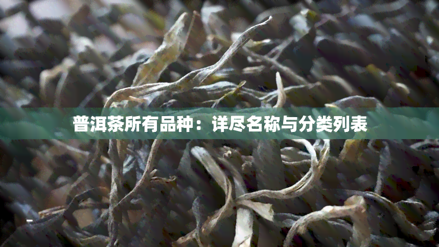 普洱茶所有品种：详尽名称与分类列表