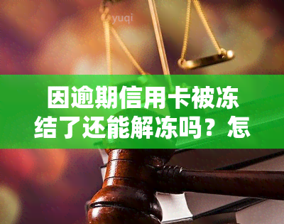 因逾期信用卡被冻结了还能解冻吗？怎么办？