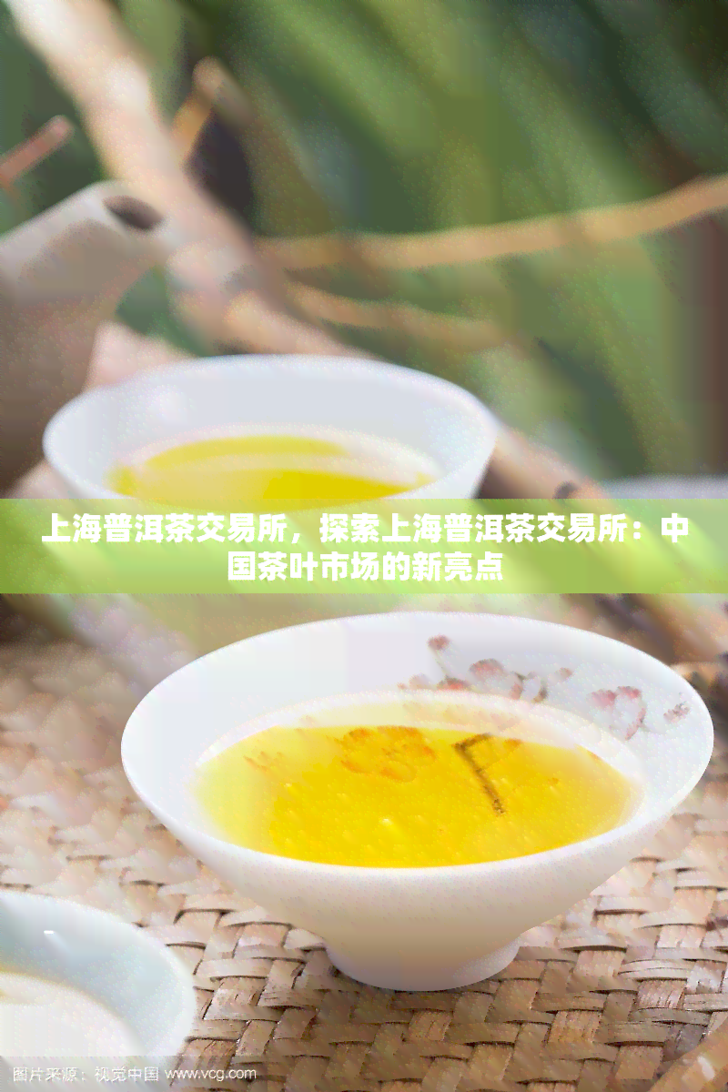 上海普洱茶交易所，探索上海普洱茶交易所：中国茶叶市场的新亮点