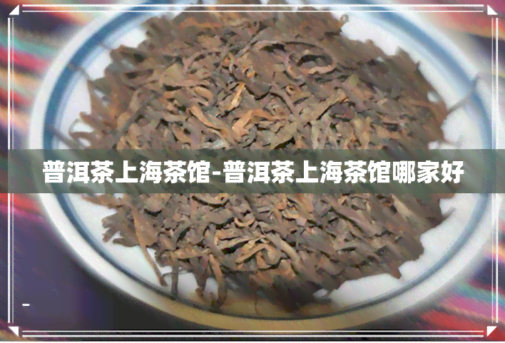 普洱茶上海茶馆-普洱茶上海茶馆哪家好