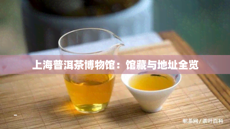 上海普洱茶博物馆：馆藏与地址全览