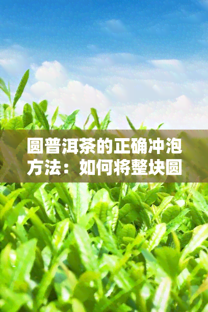 圆普洱茶的正确冲泡方法：如何将整块圆茶破碎后冲泡？