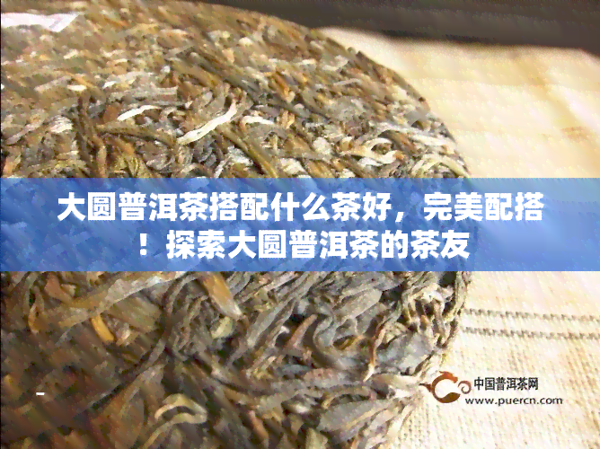 大圆普洱茶搭配什么茶好，完美配搭！探索大圆普洱茶的茶友