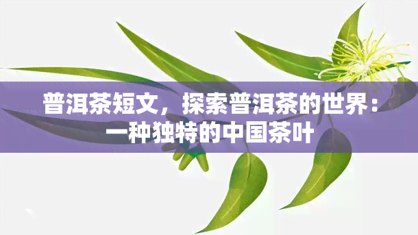 普洱茶短文，探索普洱茶的世界：一种独特的中国茶叶