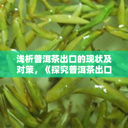 浅析普洱茶出口的现状及对策，《探究普洱茶出口：现状与应对策略》