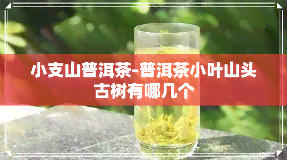 小支山普洱茶-普洱茶小叶山头古树有哪几个