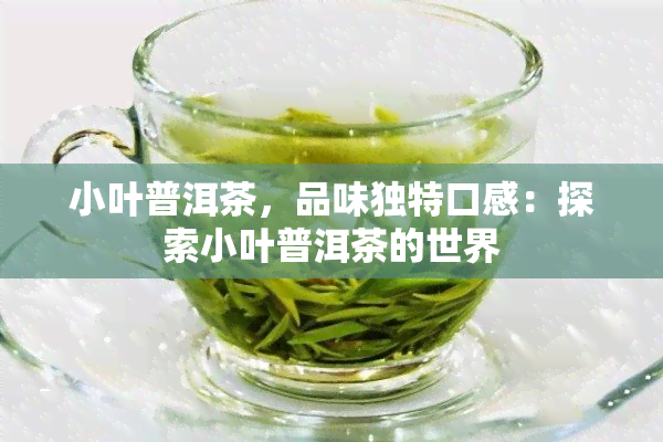 小叶普洱茶，品味独特口感：探索小叶普洱茶的世界