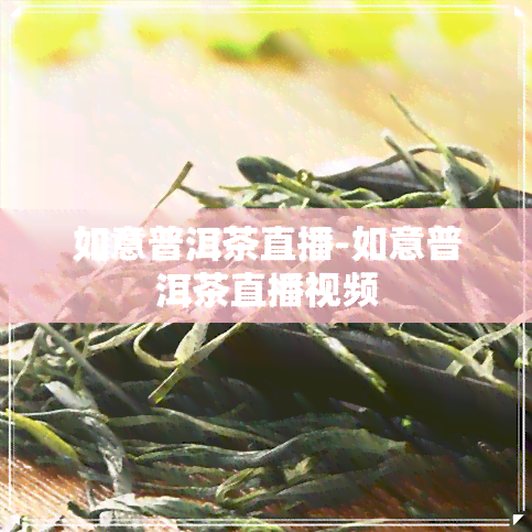 如意普洱茶直播-如意普洱茶直播视频