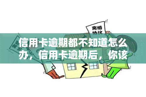 信用卡逾期都不知道怎么办，信用卡逾期后，你该知道的应对策略