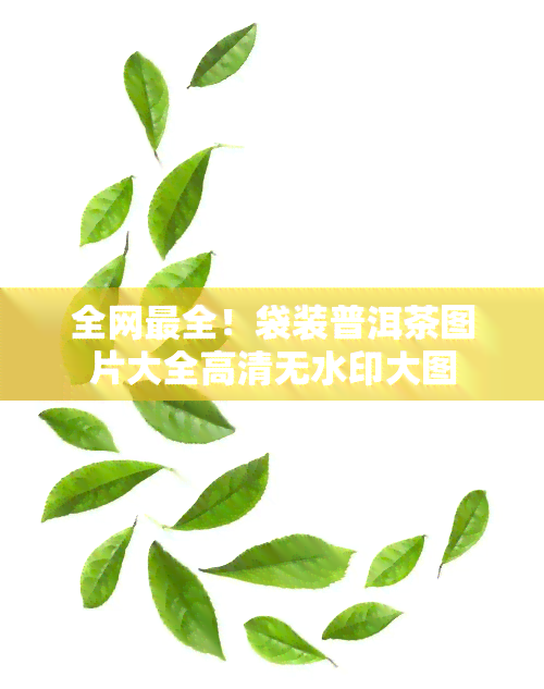 全网最全！袋装普洱茶图片大全高清无水印大图