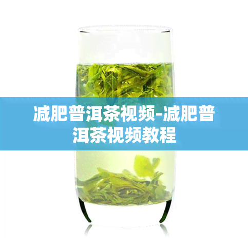 减肥普洱茶视频-减肥普洱茶视频教程