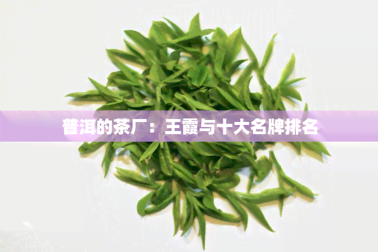 普洱的茶厂：王霞与十大名牌排名