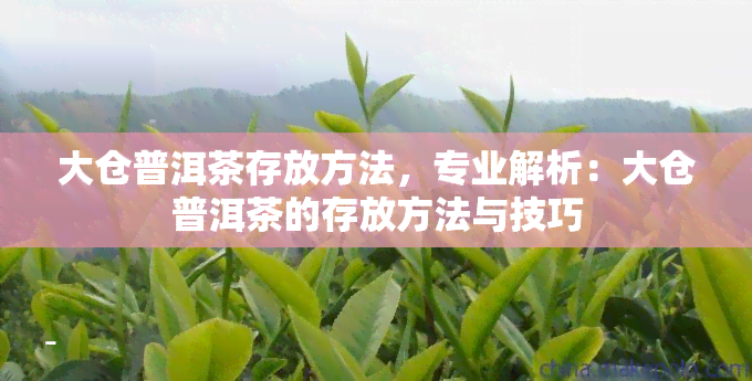 大仓普洱茶存放方法，专业解析：大仓普洱茶的存放方法与技巧