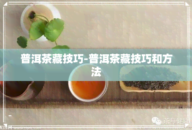 普洱茶藏技巧-普洱茶藏技巧和方法