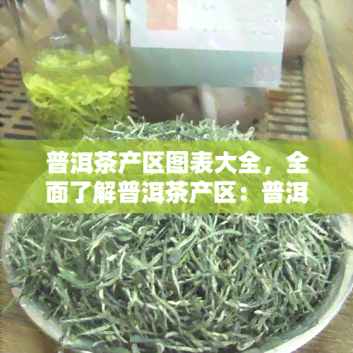 普洱茶产区图表大全，全面了解普洱茶产区：普洱茶产区图表大全