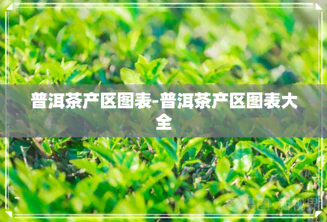 普洱茶产区图表-普洱茶产区图表大全