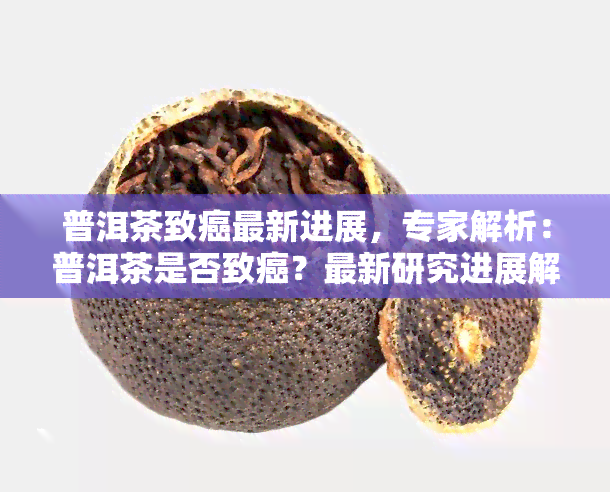 普洱茶致癌最新进展，专家解析：普洱茶是否致癌？最新研究进展解读