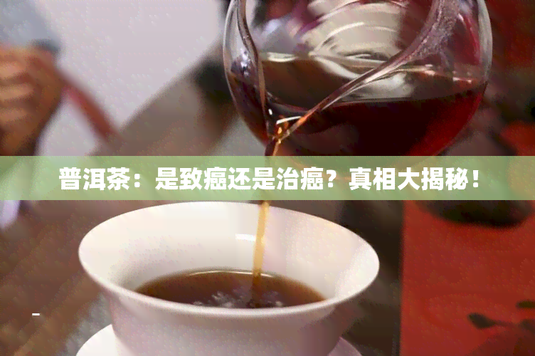 普洱茶：是致癌还是治癌？真相大揭秘！