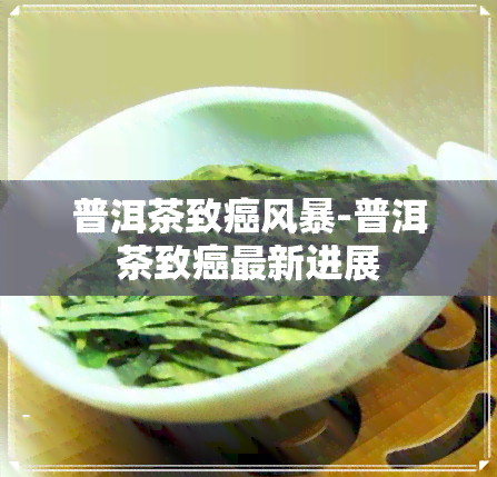 普洱茶致癌风暴-普洱茶致癌最新进展