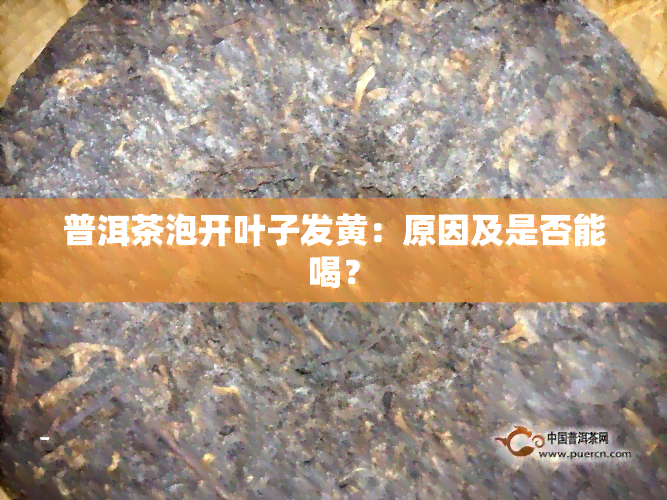 普洱茶泡开叶子发黄：原因及是否能喝？