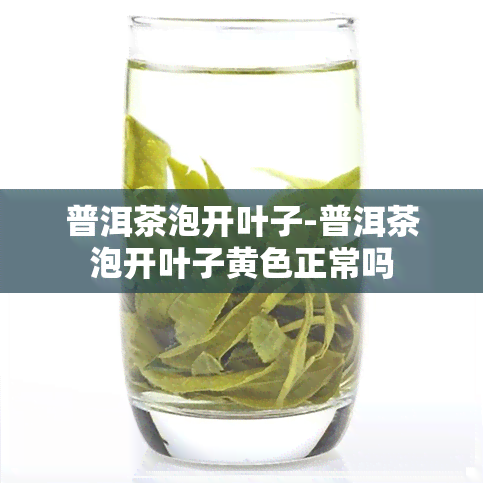 普洱茶泡开叶子-普洱茶泡开叶子黄色正常吗