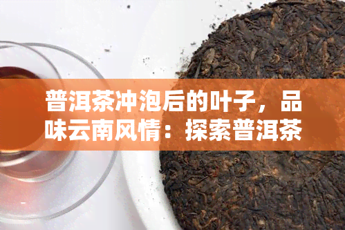 普洱茶冲泡后的叶子，品味云南风情：探索普洱茶冲泡后叶子的美妙世界