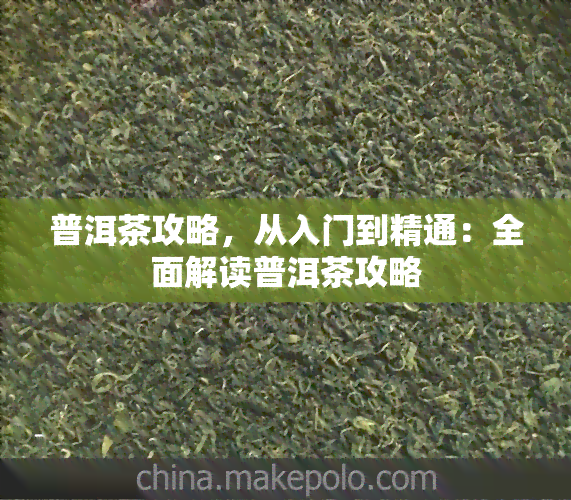 普洱茶攻略，从入门到精通：全面解读普洱茶攻略